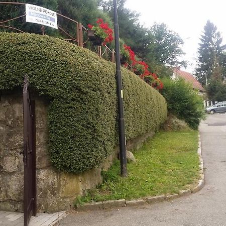 Noclegi U Andrzeja Duszniki Zdrój Εξωτερικό φωτογραφία
